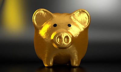 Golden piggy bank