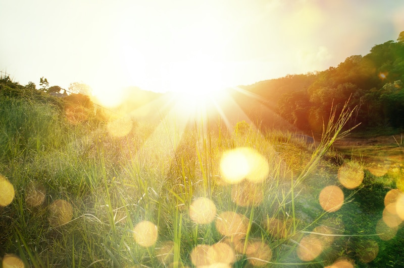 Sunset over countryside